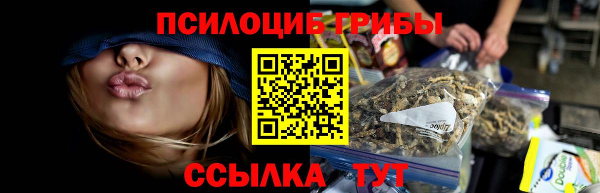 Галлюциногенные грибы ЛСД  Вход с VPN  наркотики  Нальчик 